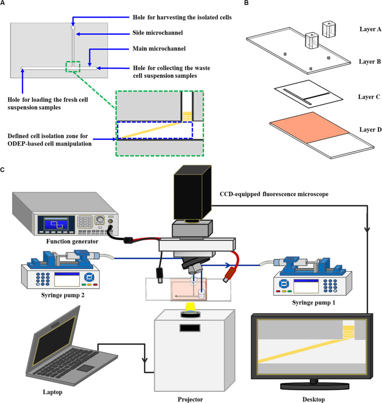 FIGURE 1