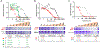 Extended Data Fig. 6