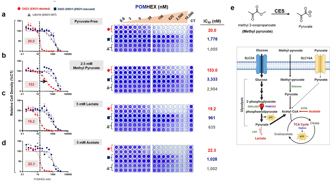 Extended Data Fig. 8