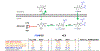 Extended Data Fig. 4