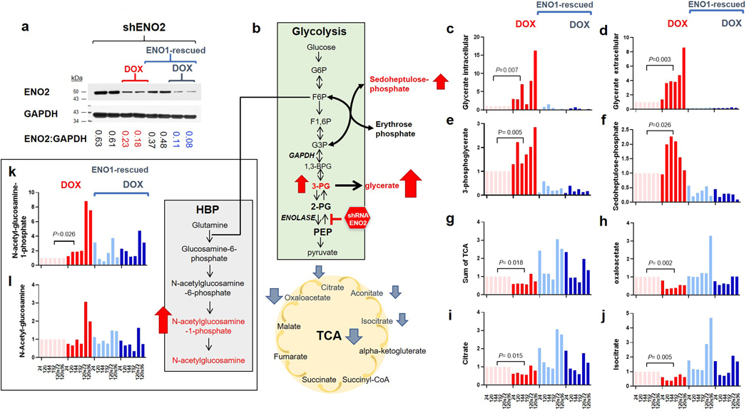 Extended Data Fig. 9