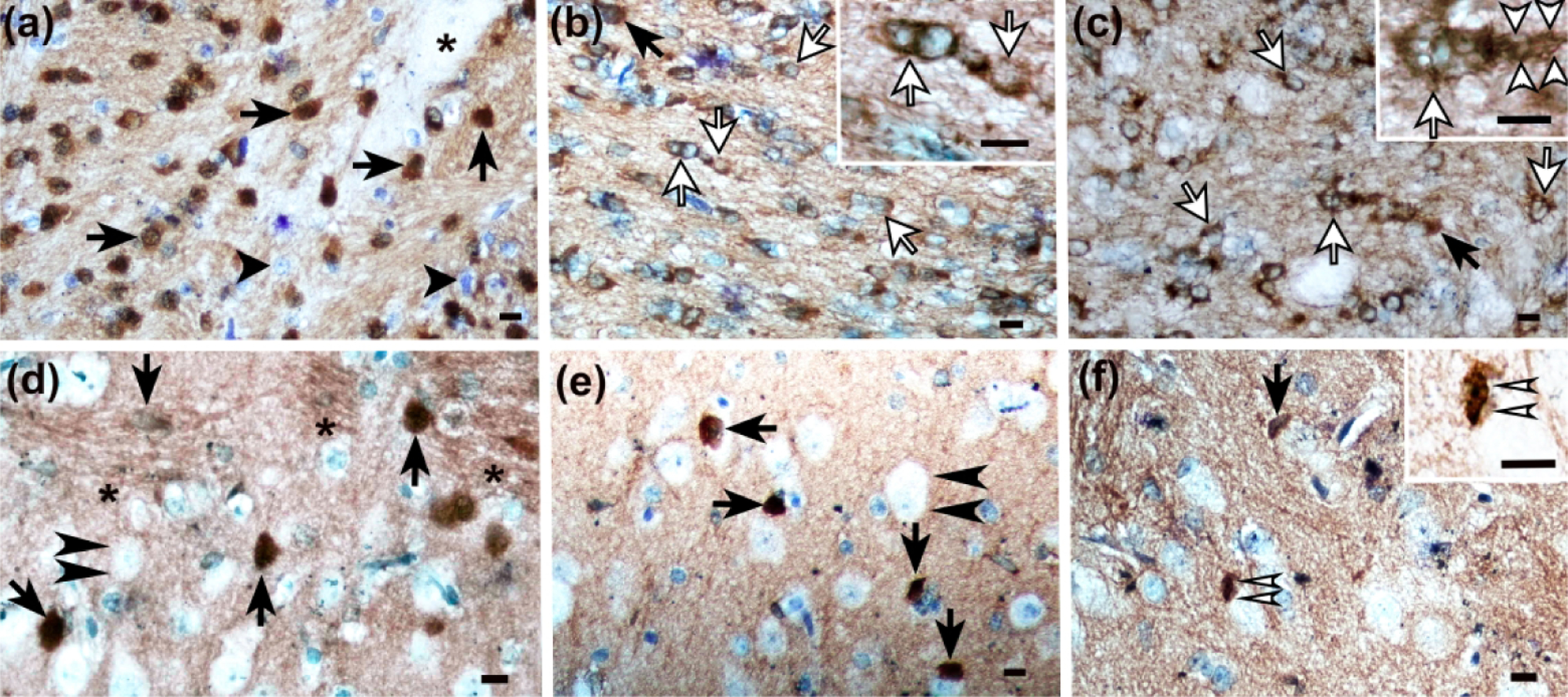 Figure 10.