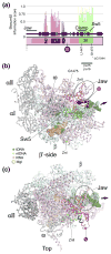 Fig. 10