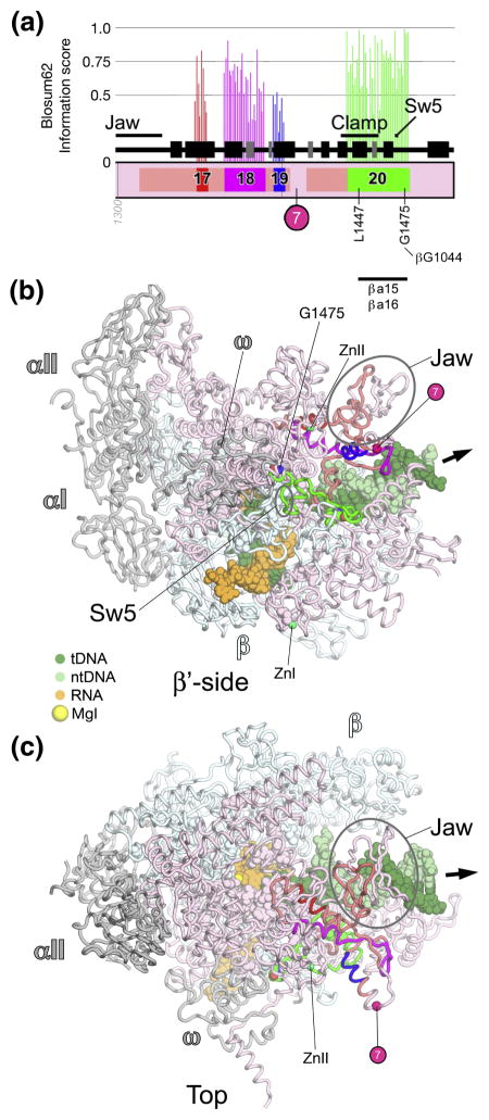 Fig. 10