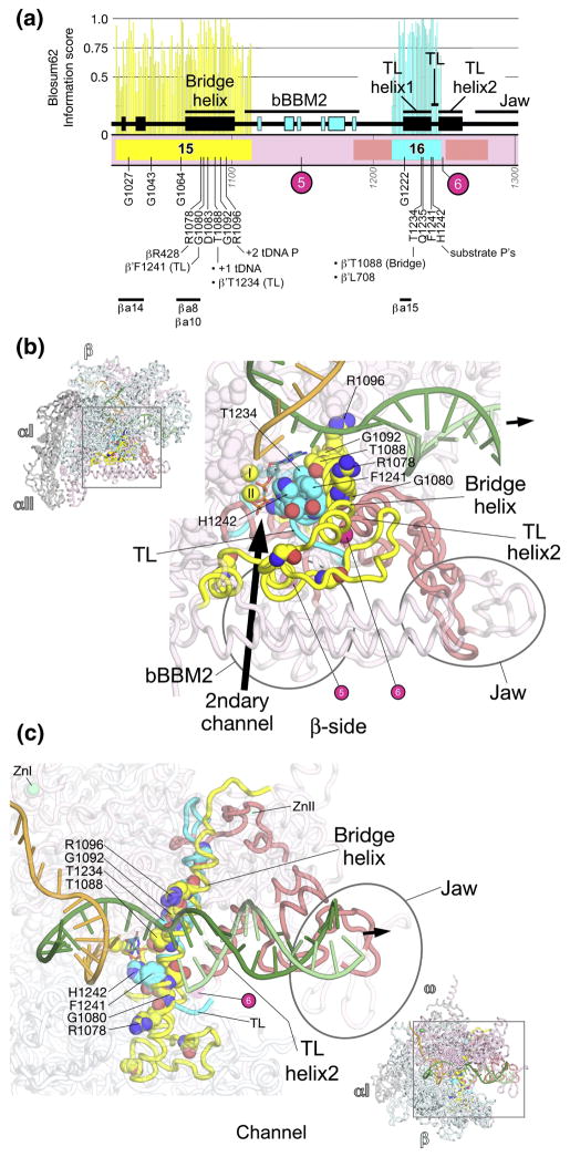 Fig. 9