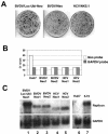 FIG. 2.