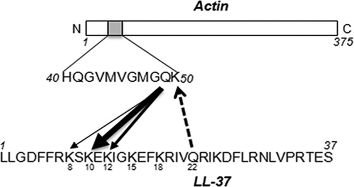 FIGURE 12.