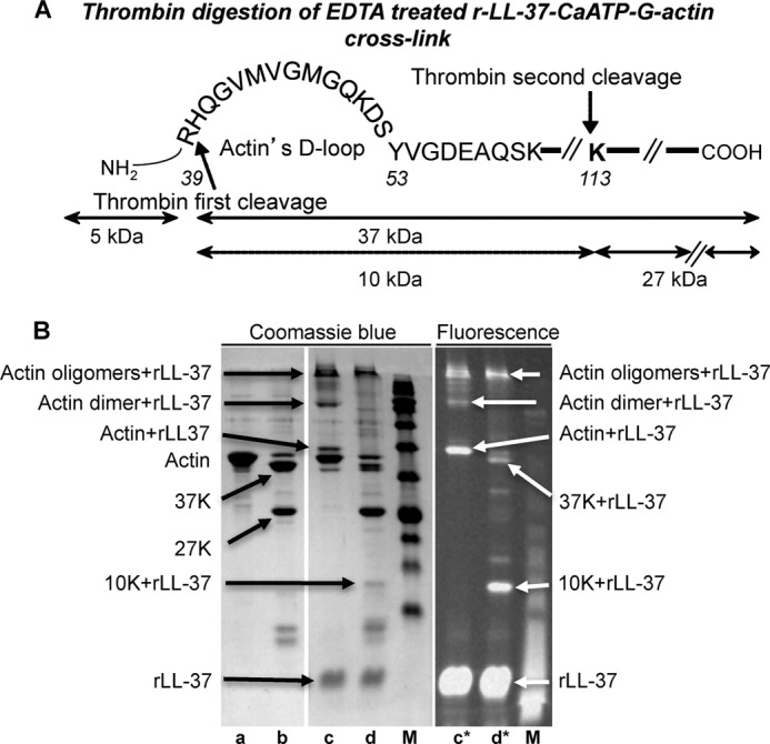 FIGURE 10.