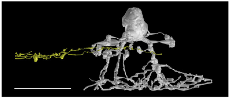 Fig. 3.