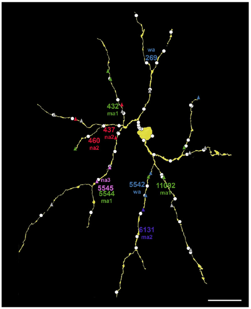 Fig. 2.