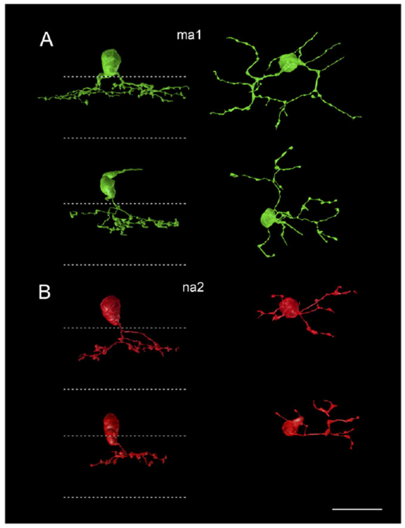 Fig. 7.