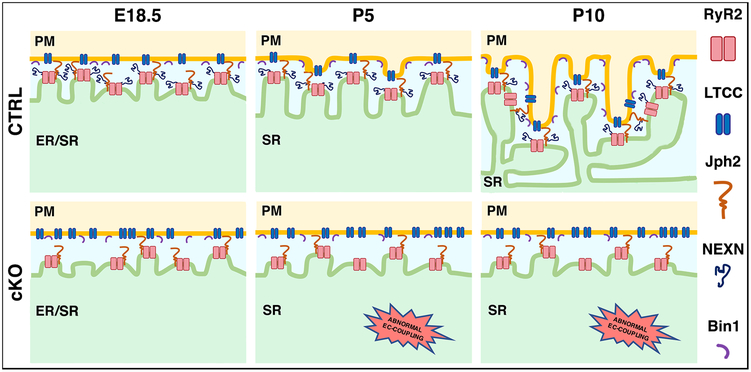 Figure 7.