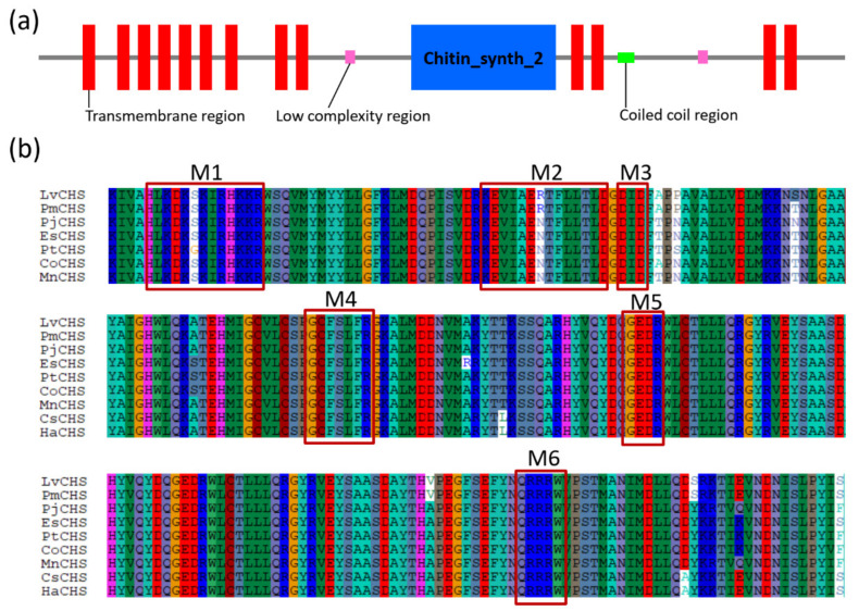 Figure 6
