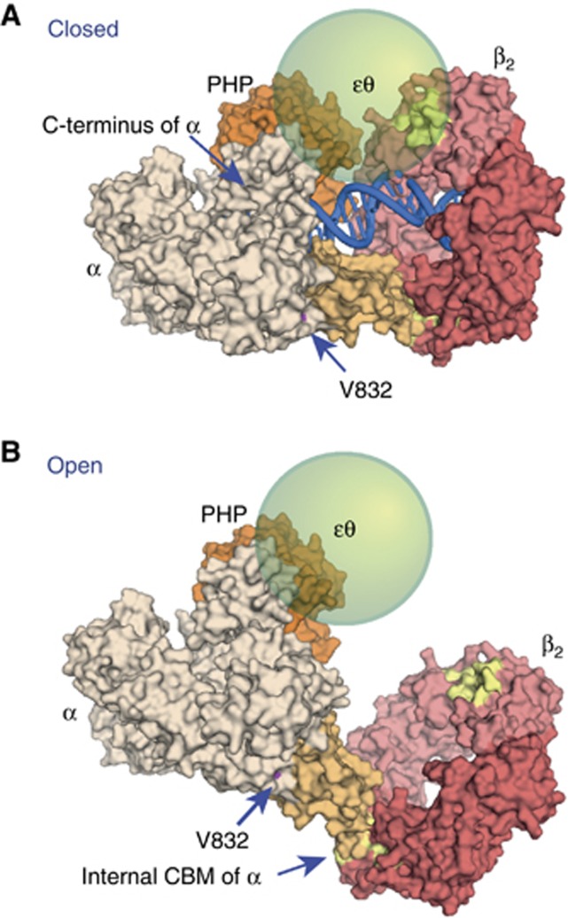 Figure 7