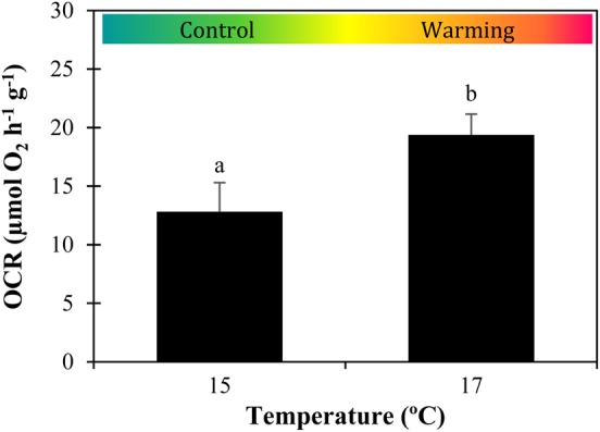 Figure 3: