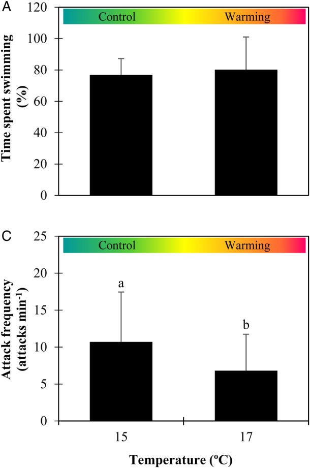 Figure 5: