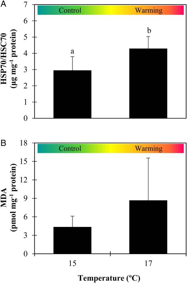 Figure 6: