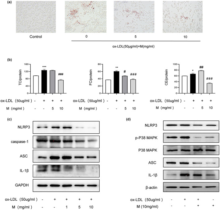 FIGURE 3