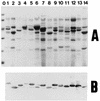 FIG. 7