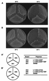 FIG. 6