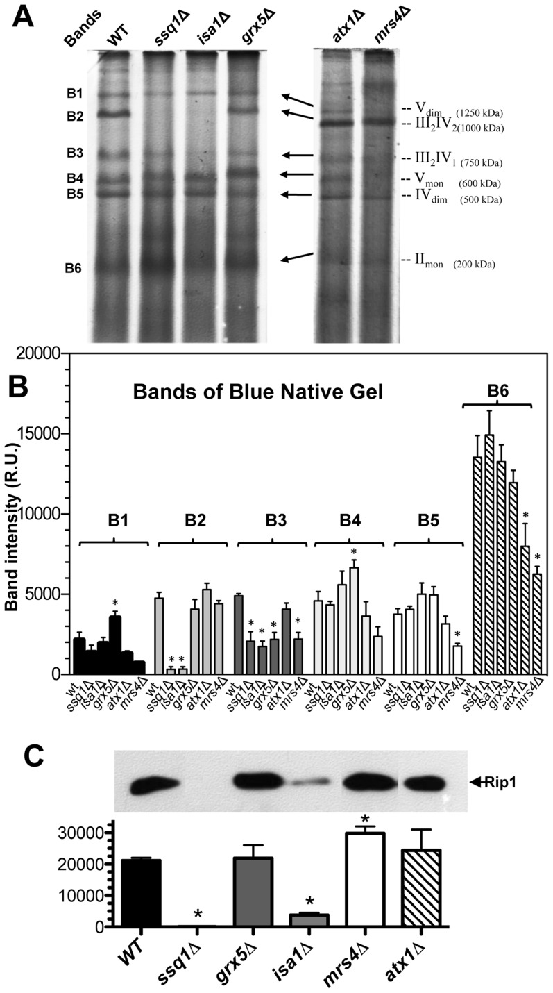 Figure 7