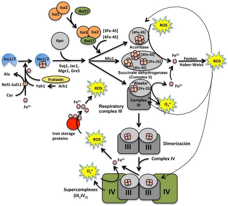 Figure 10