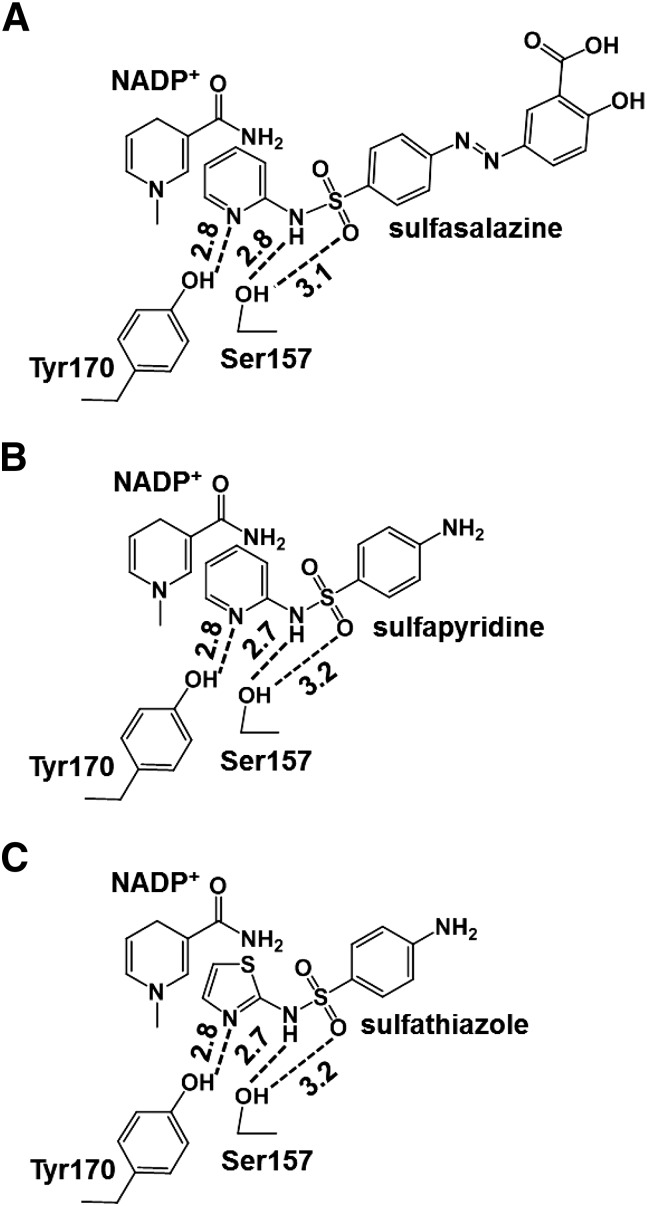 Fig. 9.