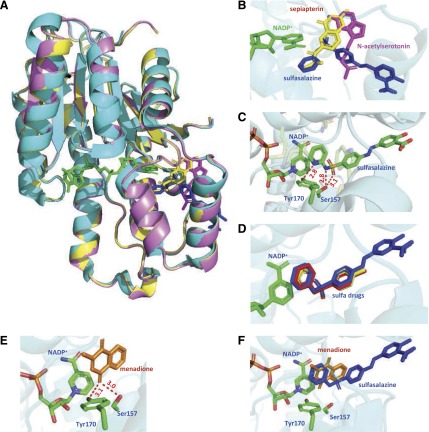 Fig. 8.