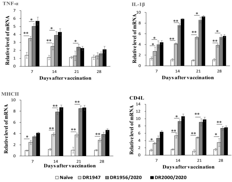 Figure 4