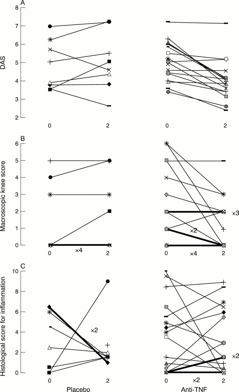 Figure 3  