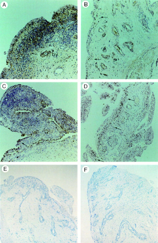 Figure 4  