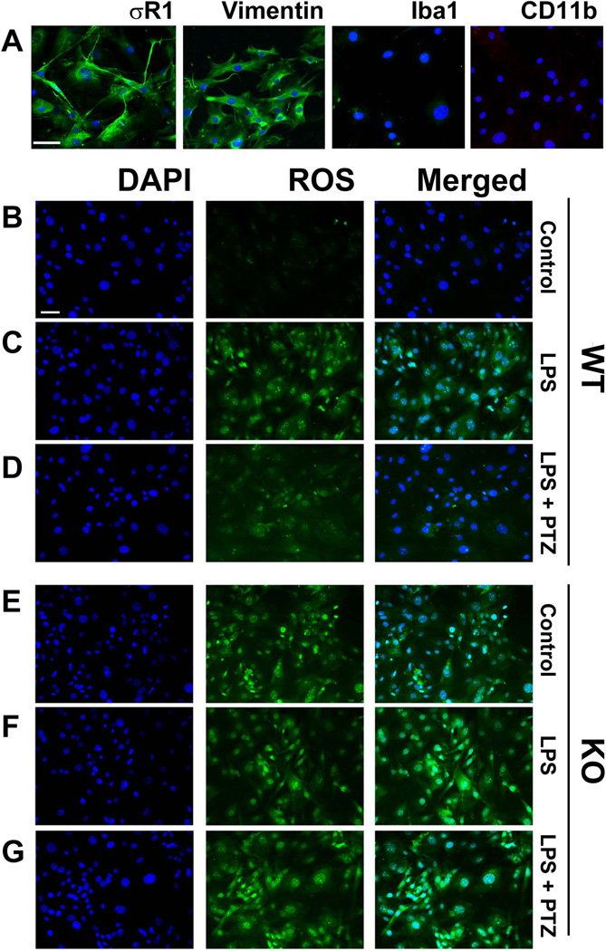 Fig 1