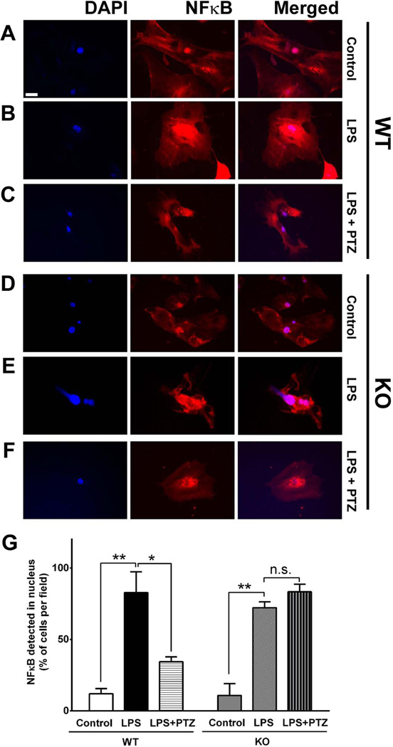 Fig 4