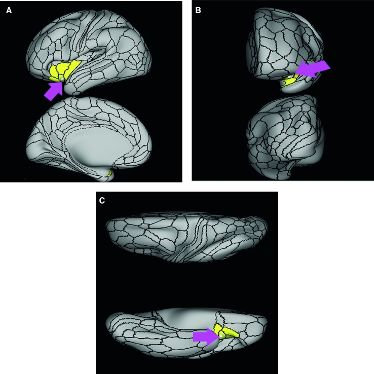 FIGURE 47.