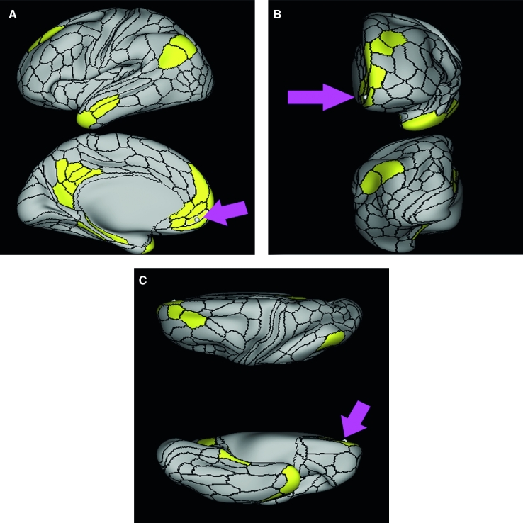 FIGURE 37.