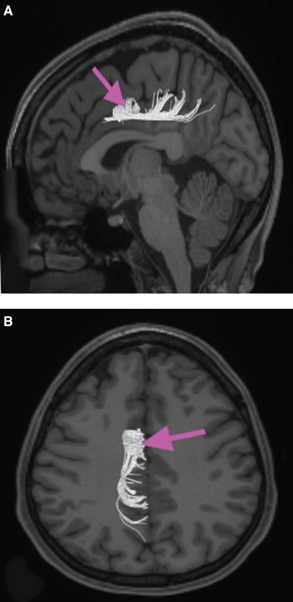 FIGURE 10.