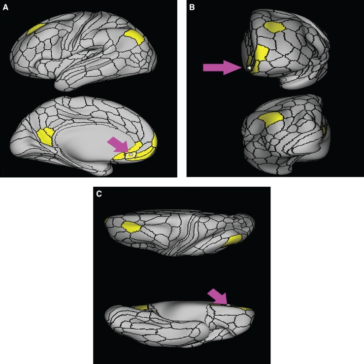 FIGURE 25.