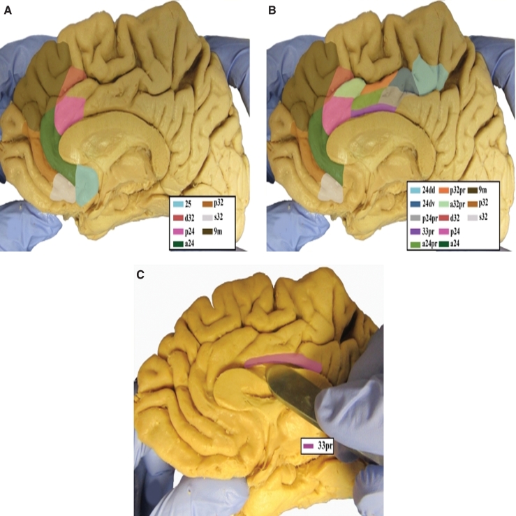 FIGURE 1.