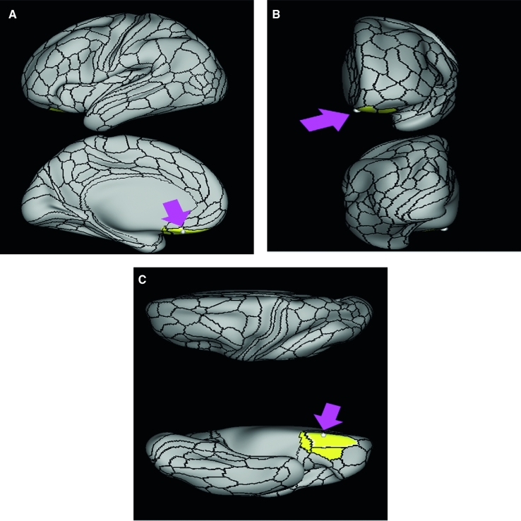 FIGURE 43.