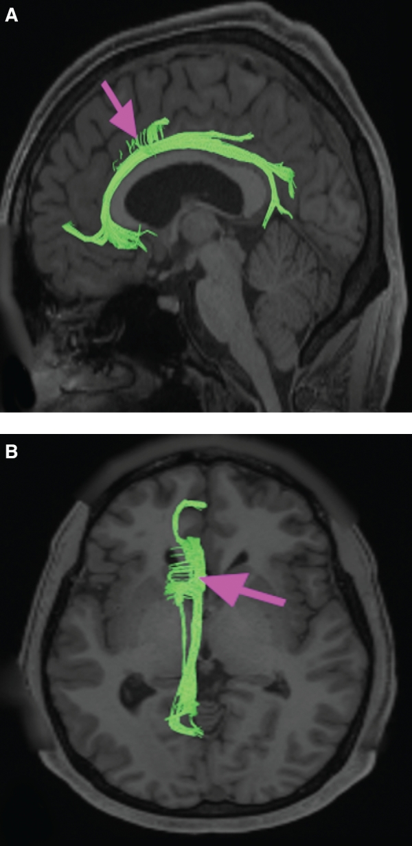 FIGURE 12.