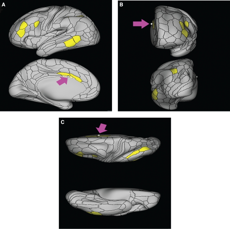 FIGURE 3.