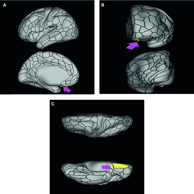 FIGURE 45.