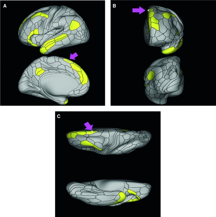 FIGURE 31.