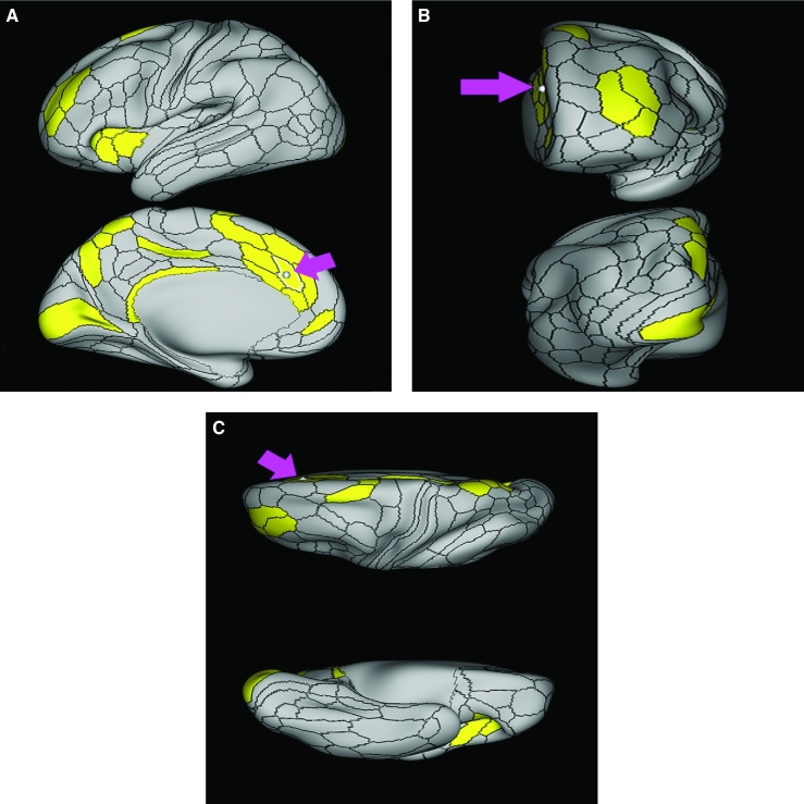 FIGURE 19.