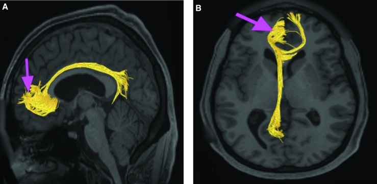 FIGURE 24.