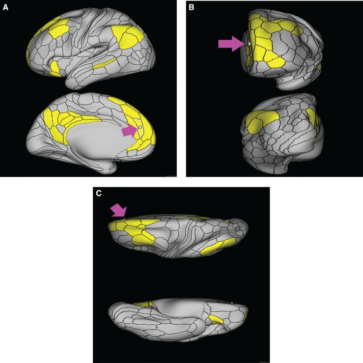 FIGURE 21.