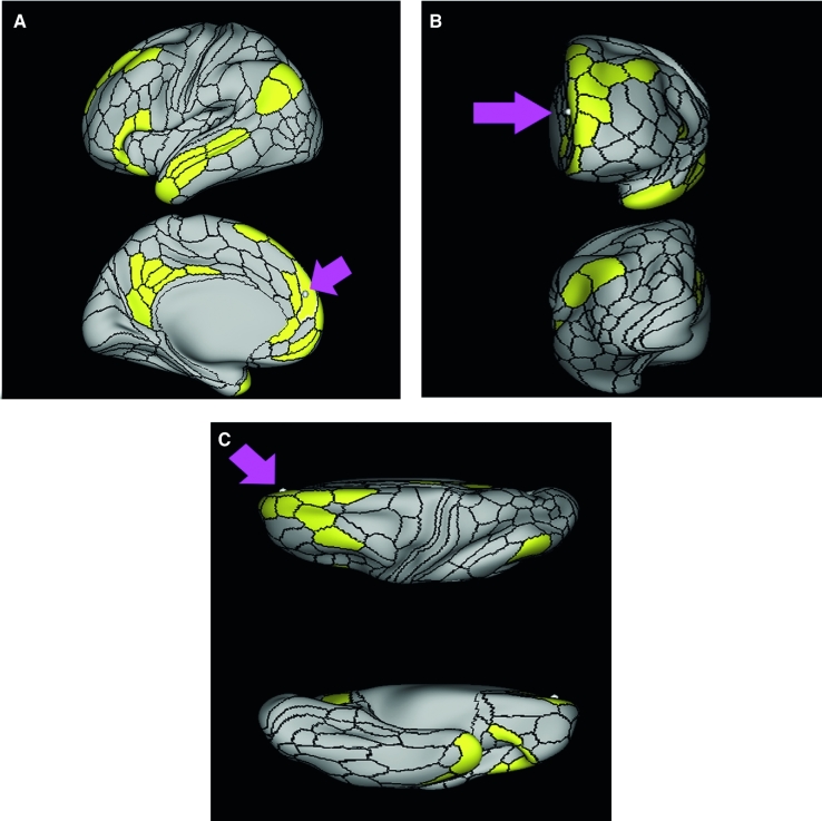 FIGURE 35.