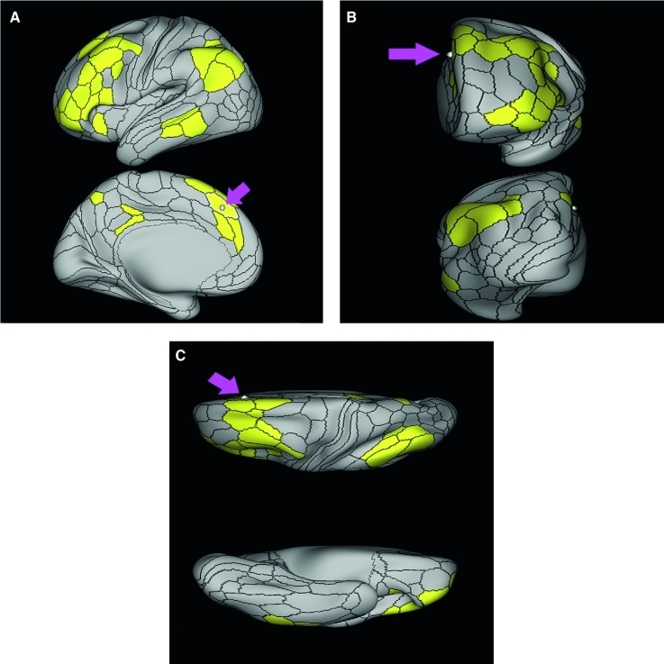 FIGURE 33.