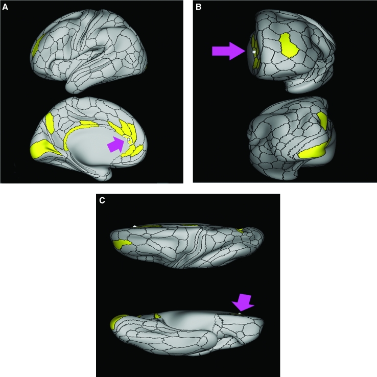 FIGURE 13.