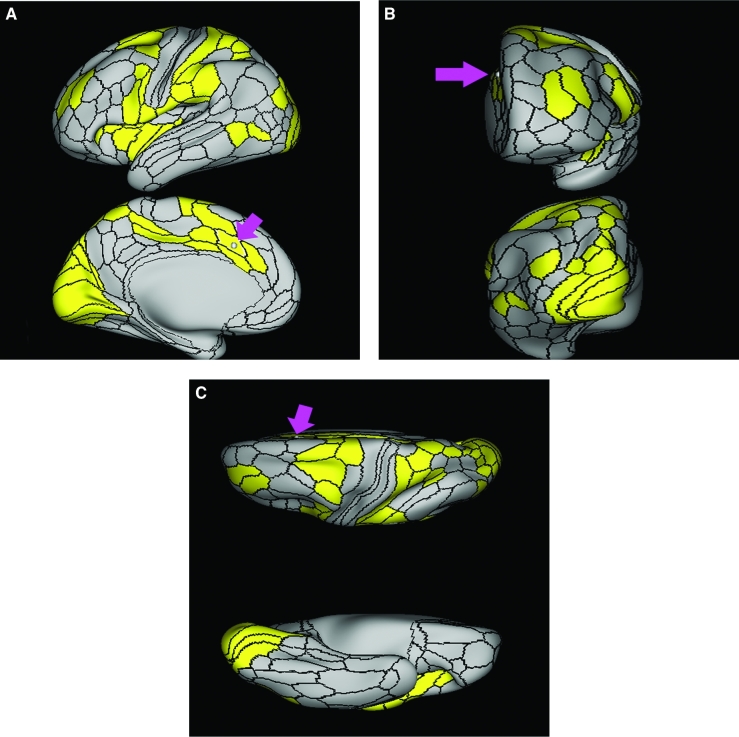 FIGURE 17.